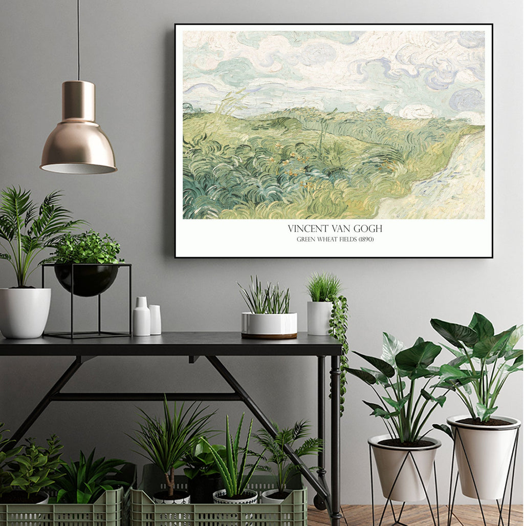 Green Wheat fields