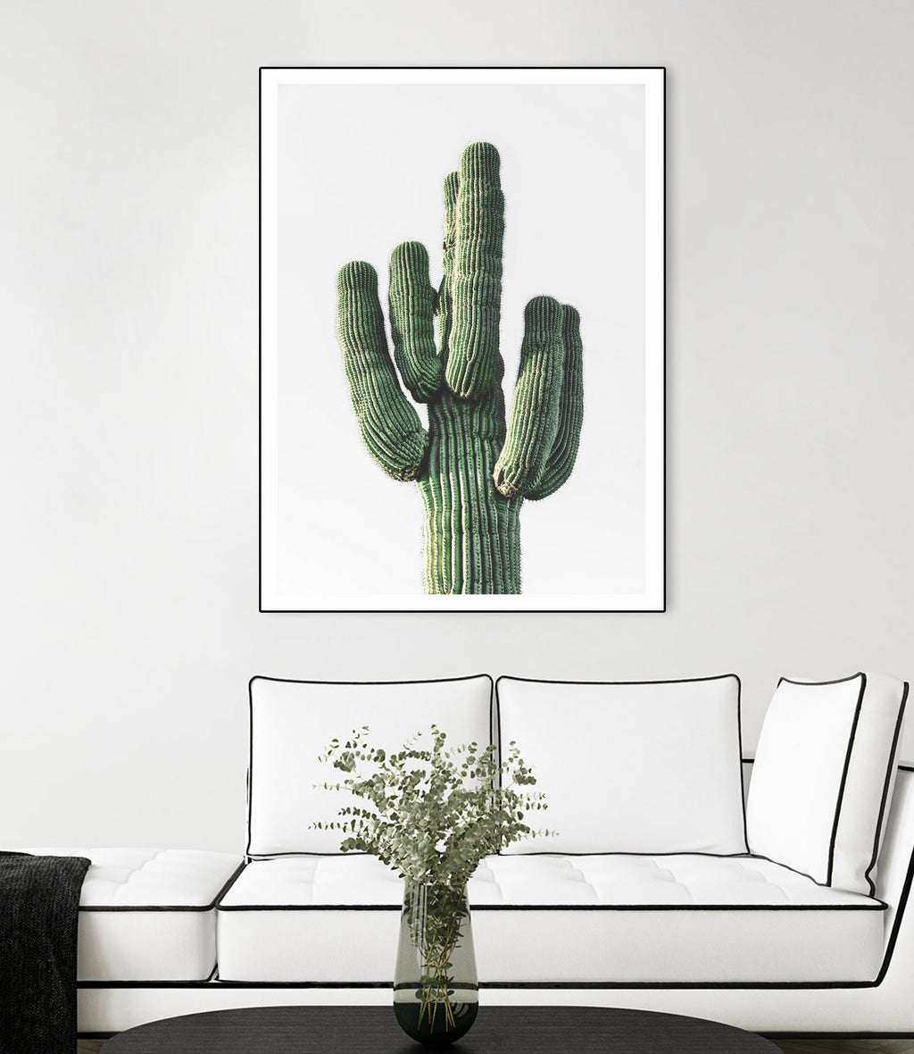 Le Cactus