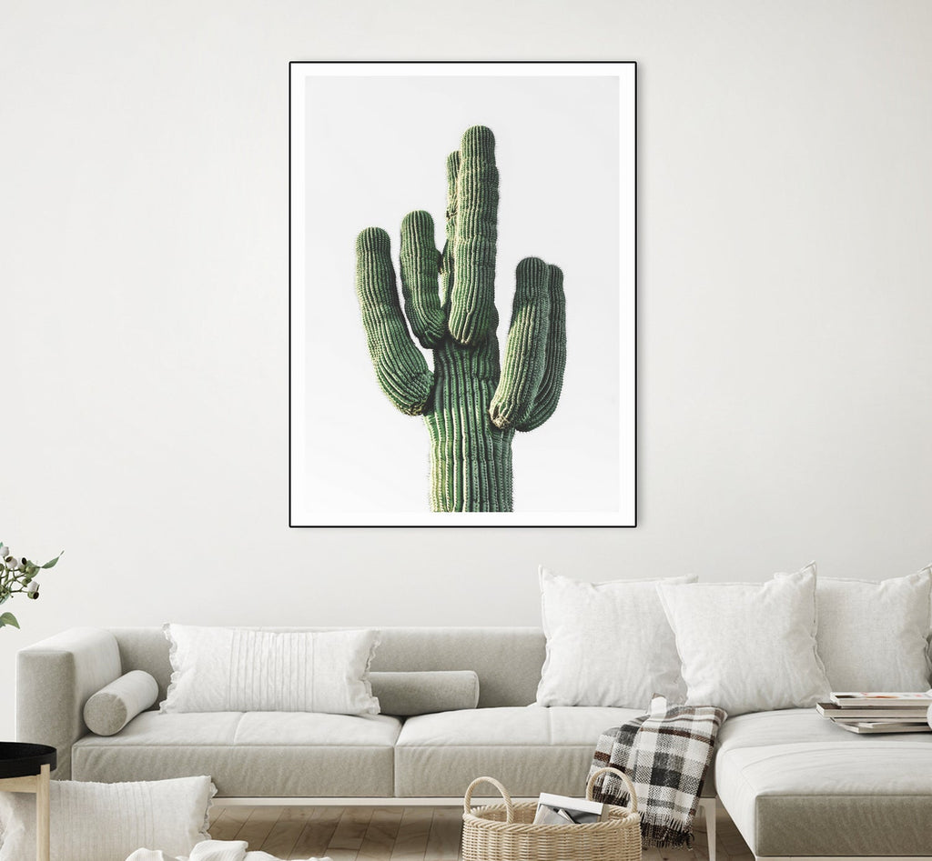 Le Cactus