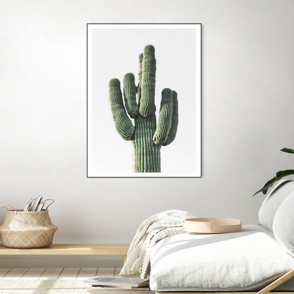 Le Cactus