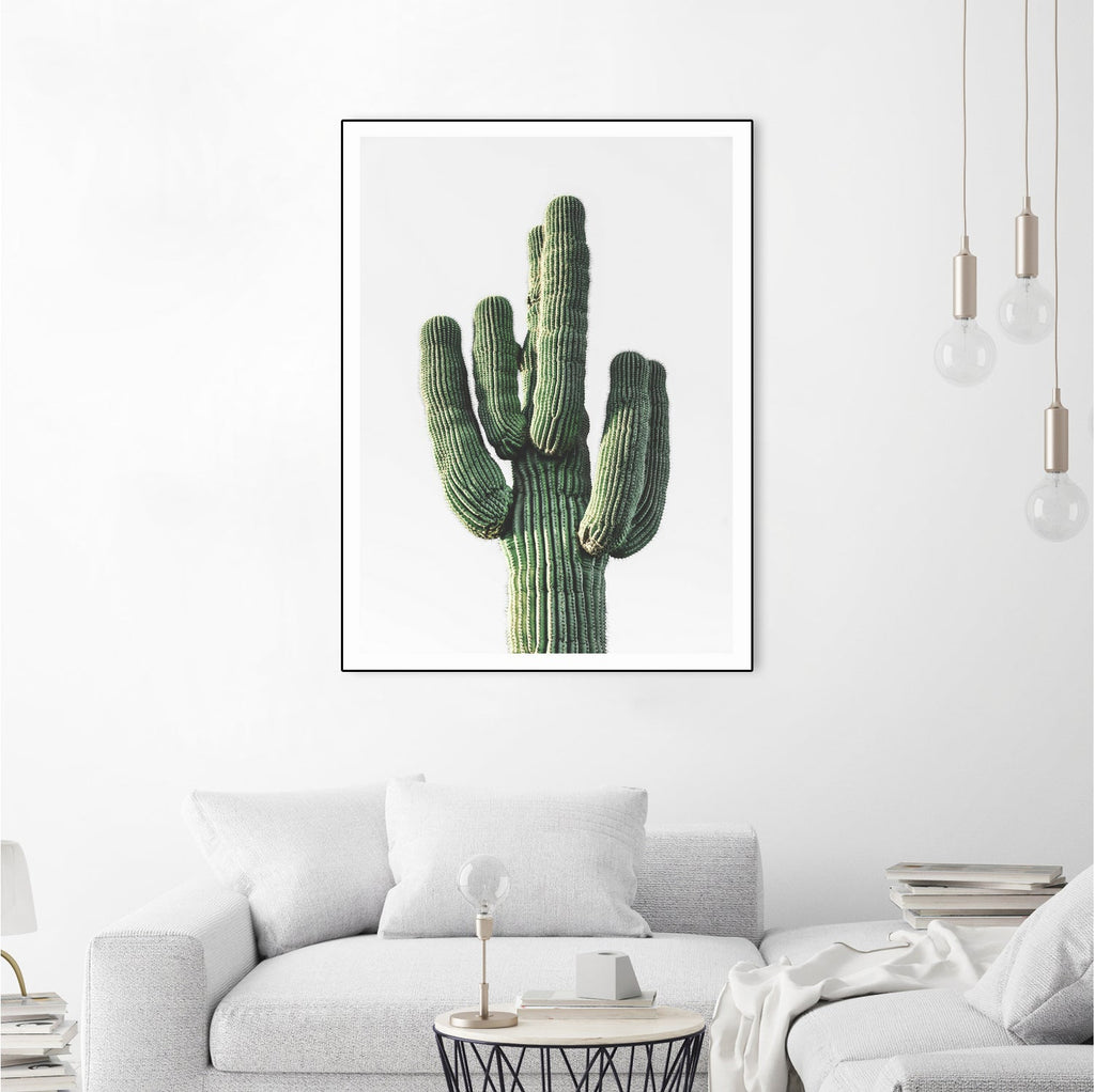 Le Cactus
