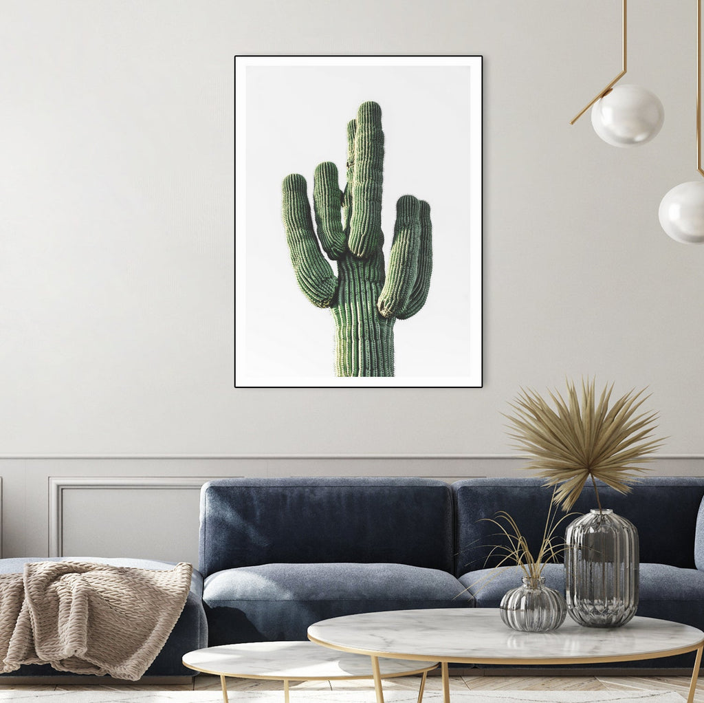 Le Cactus