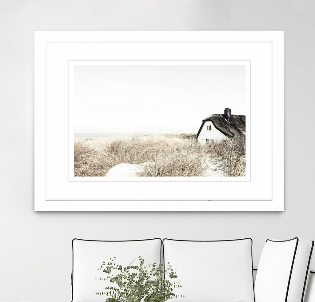 Meadow