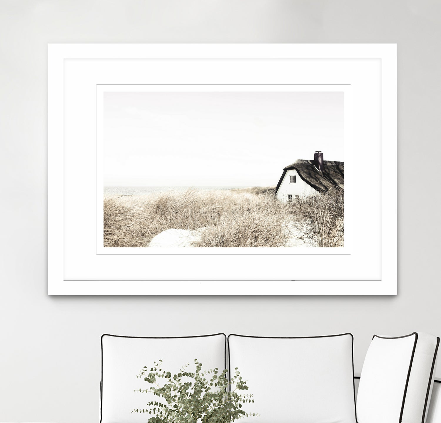 Meadow