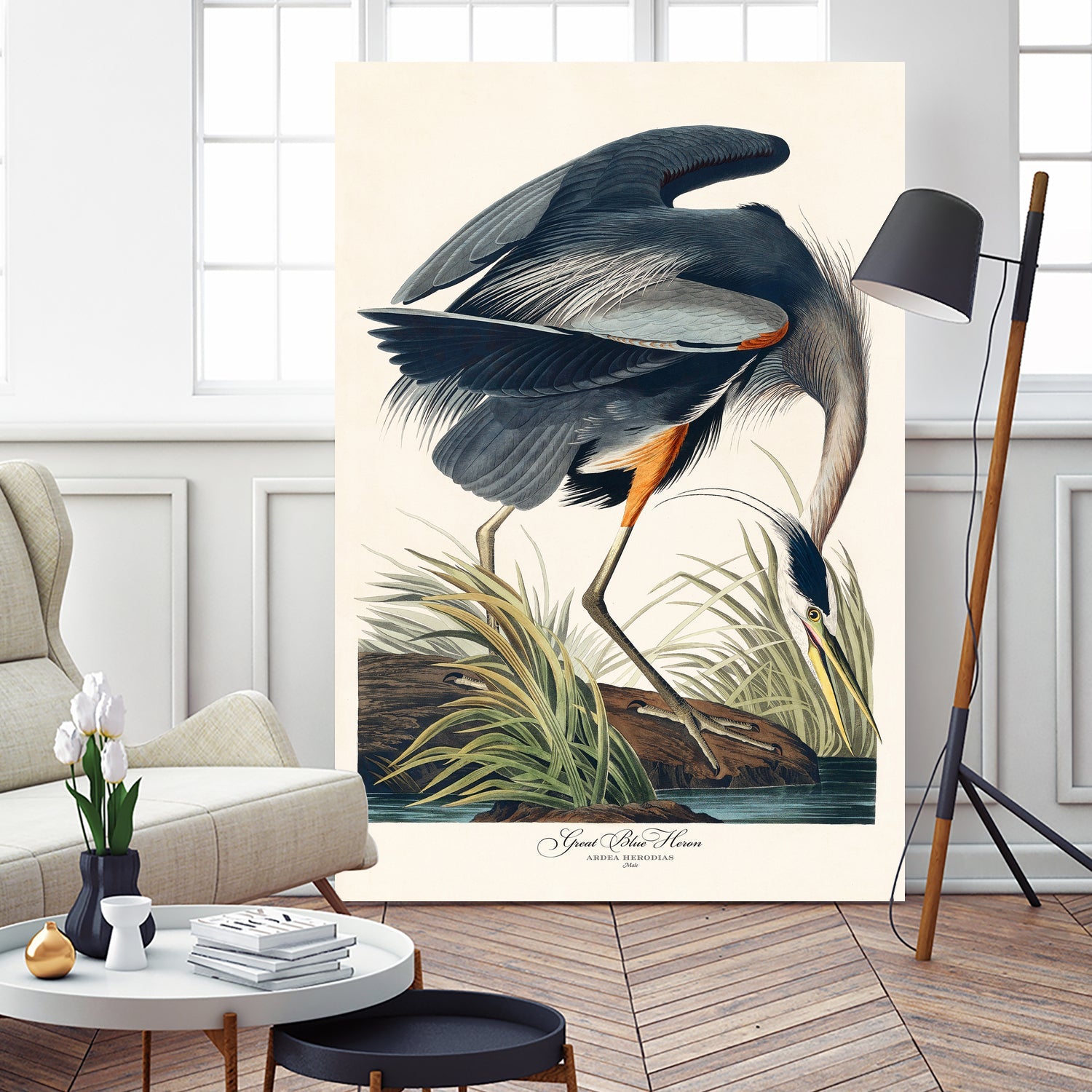 Great Blue Heron