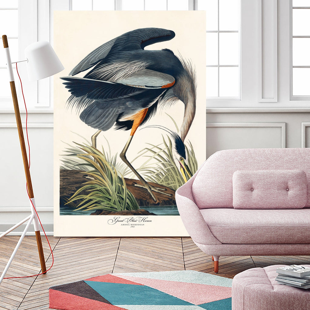Great Blue Heron