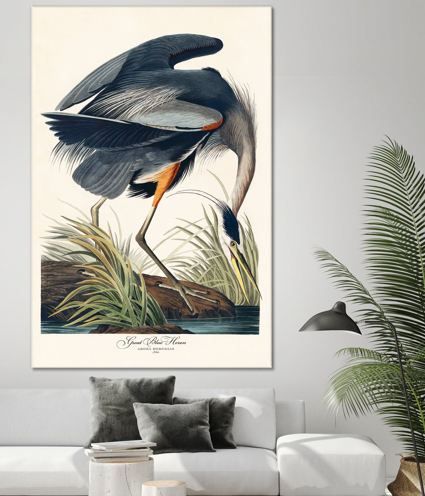 Great Blue Heron