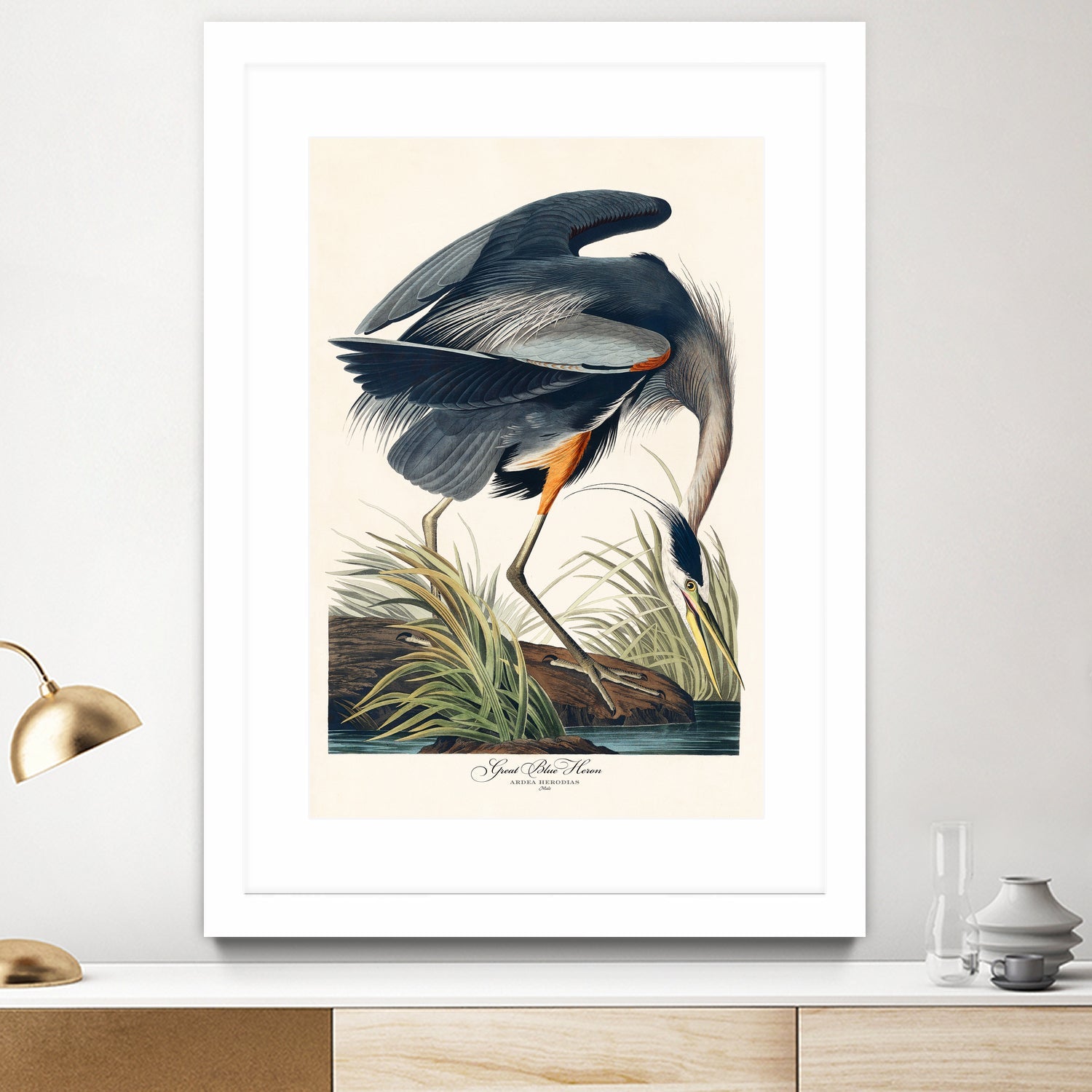 Great Blue Heron