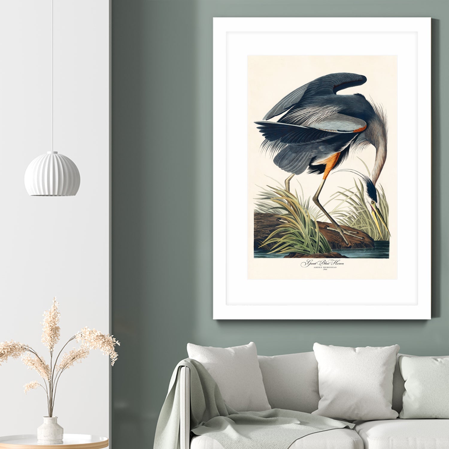 Great Blue Heron