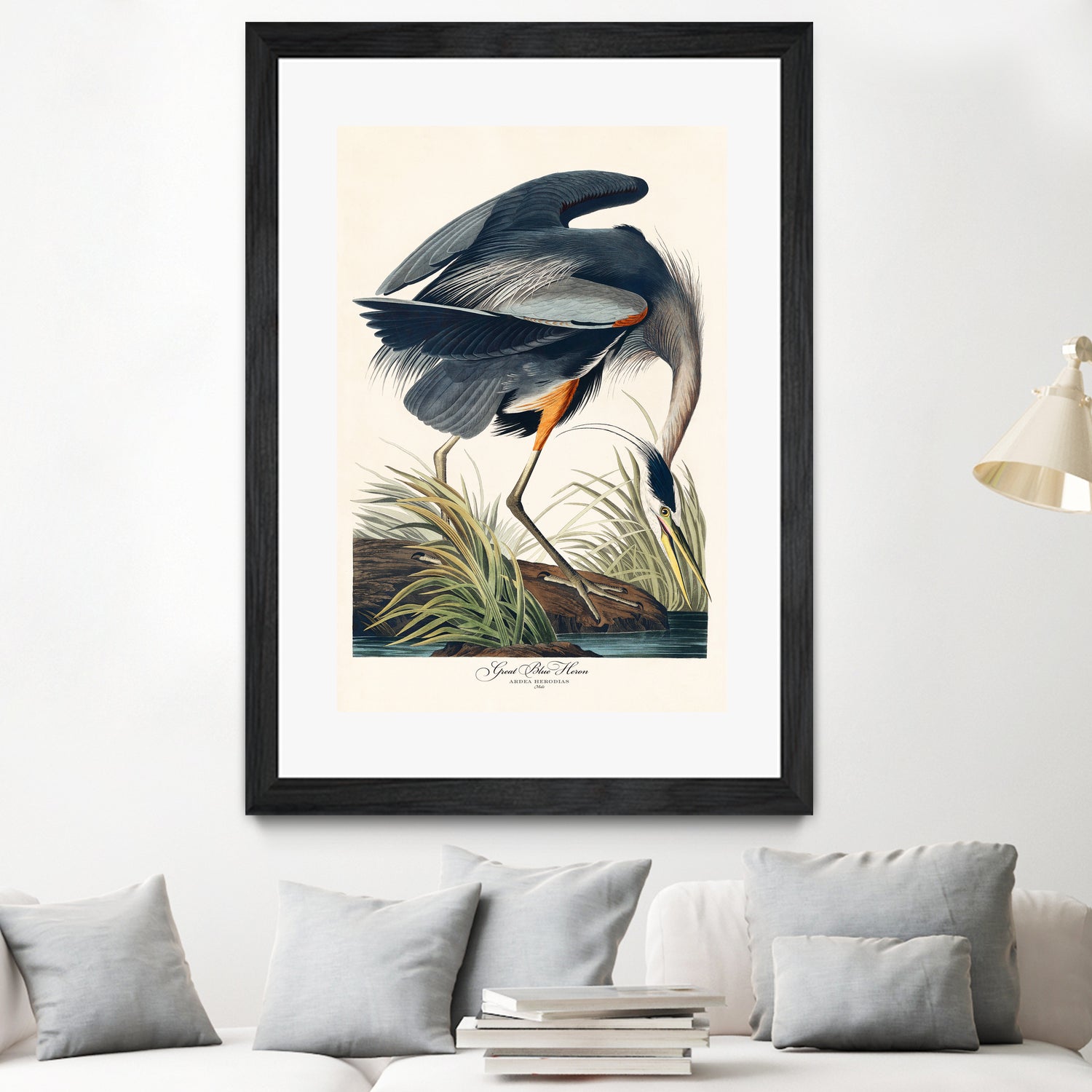 Great Blue Heron