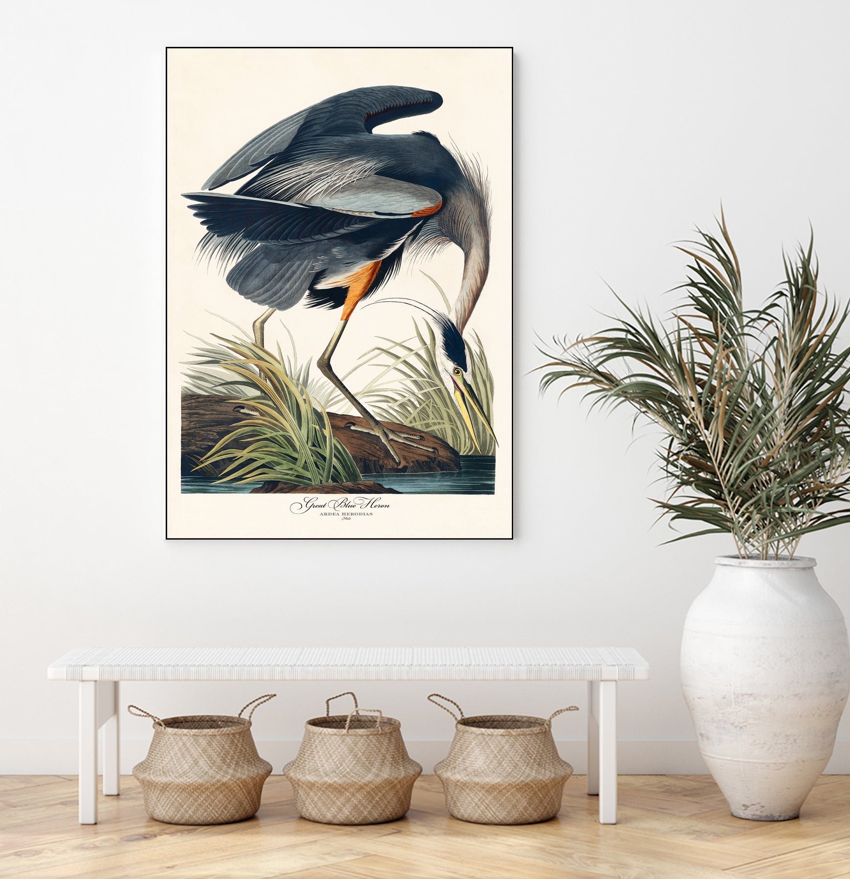 Great Blue Heron