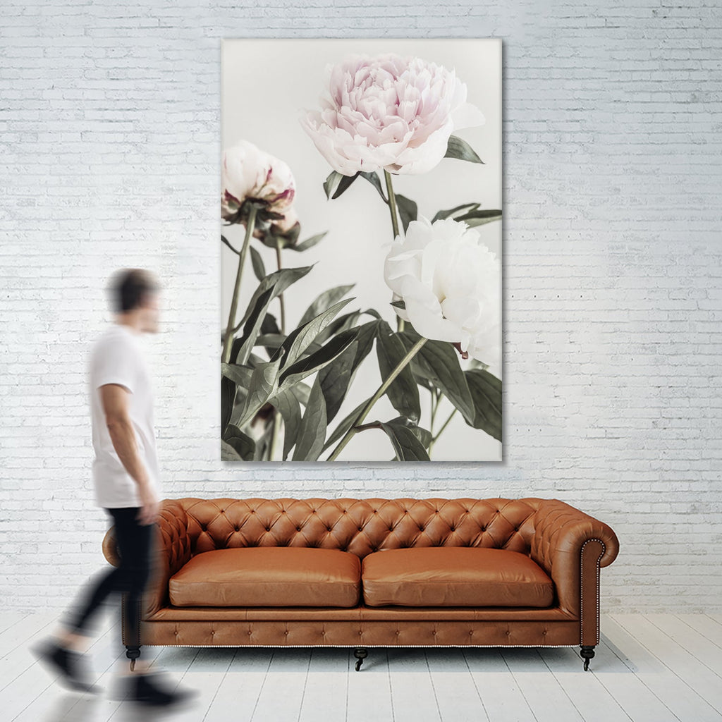 Peony 04