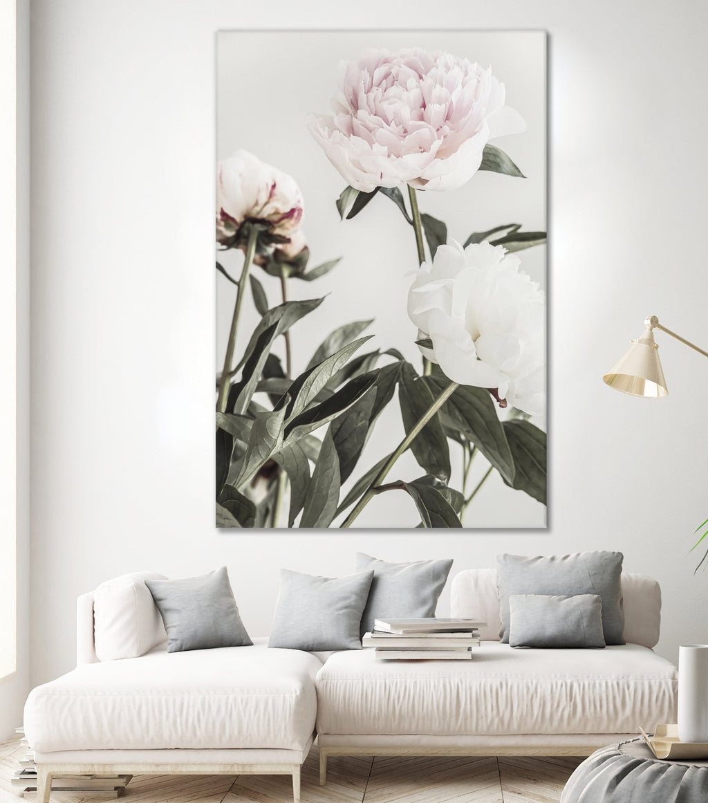 Peony 04