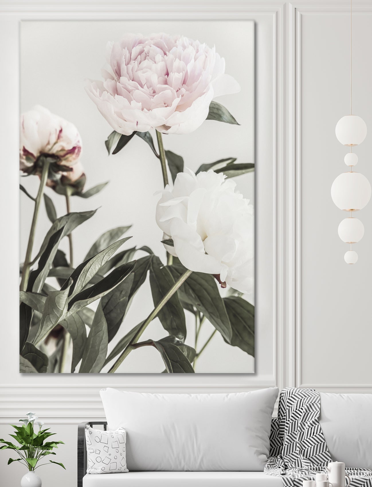 Peony 04