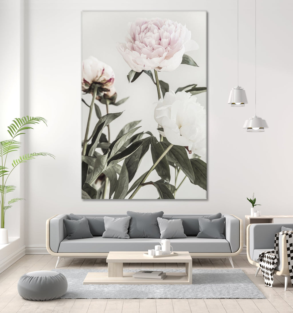 Peony 04