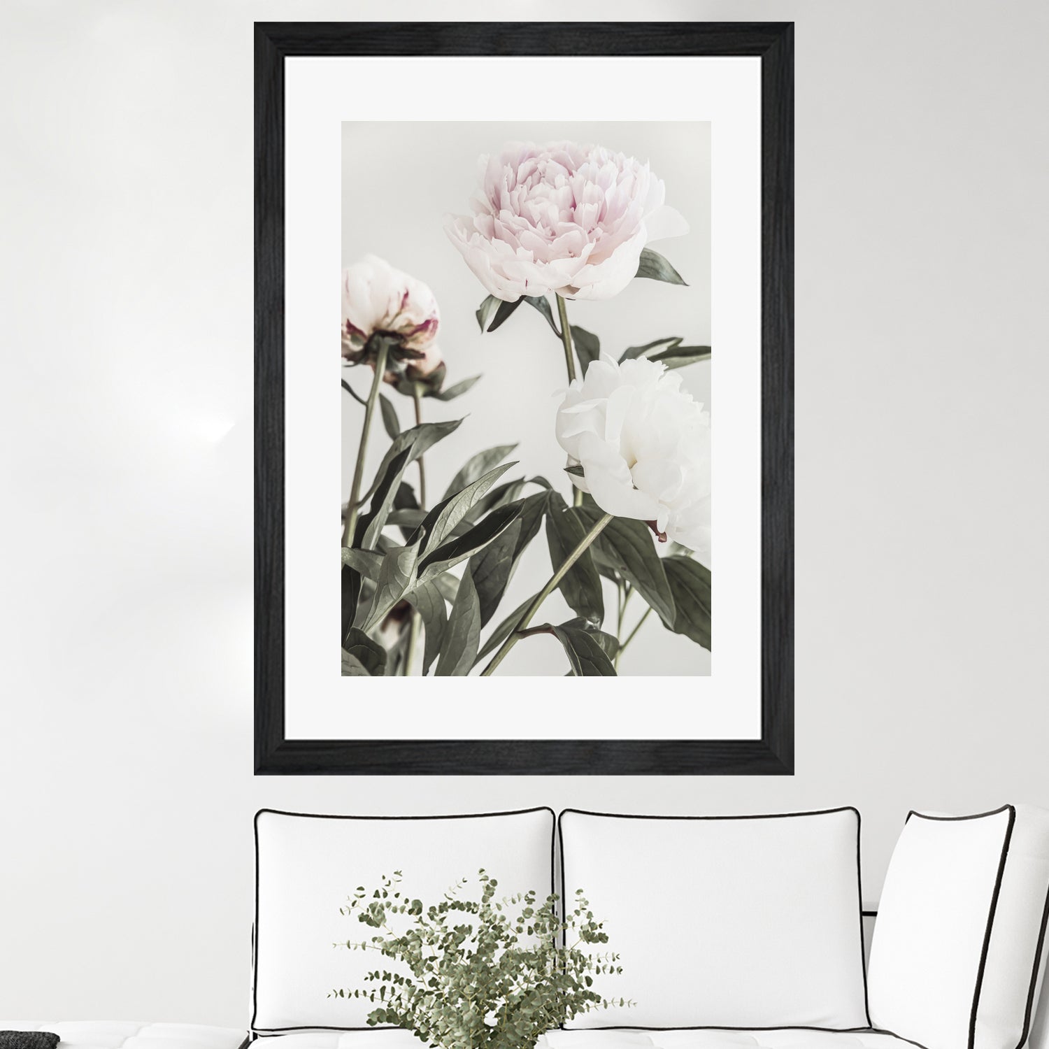 Peony 04