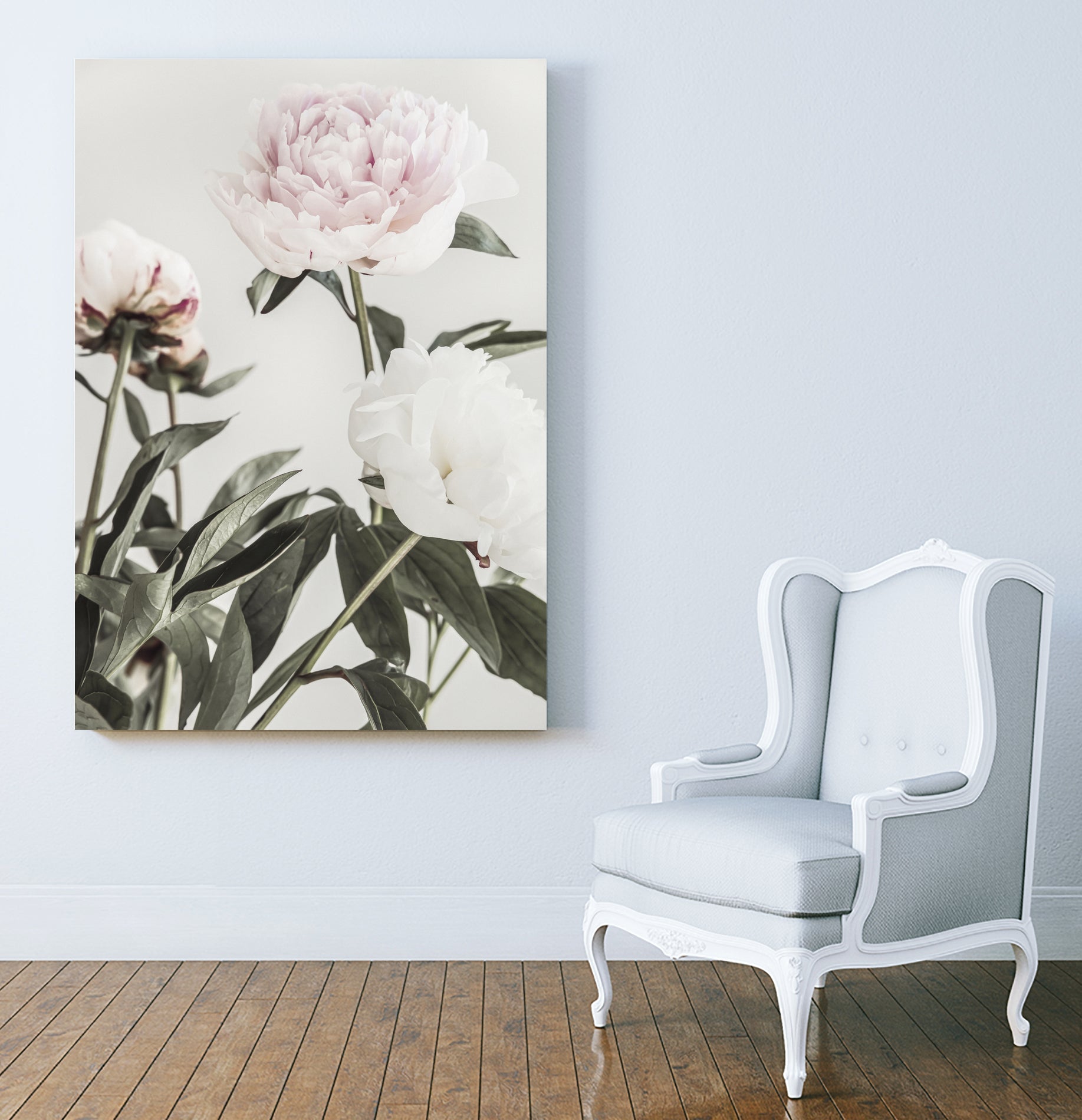 Peony 04
