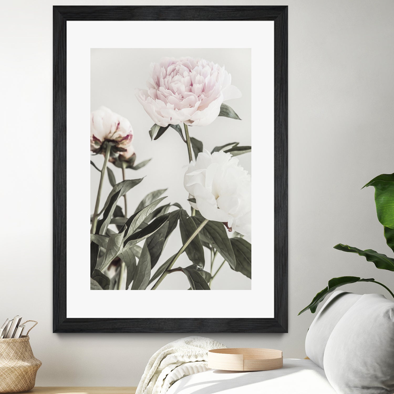 Peony 04