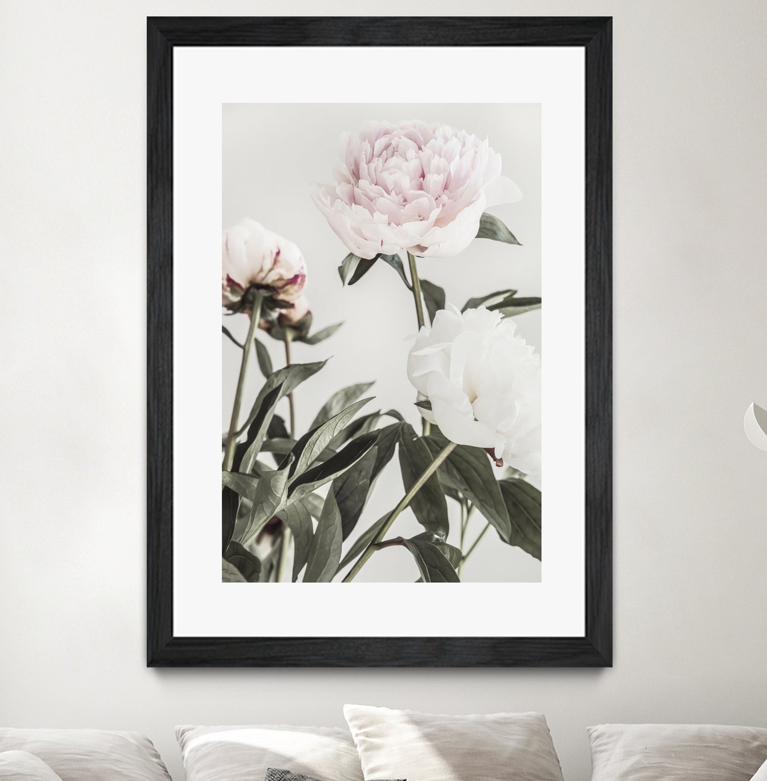 Peony 04