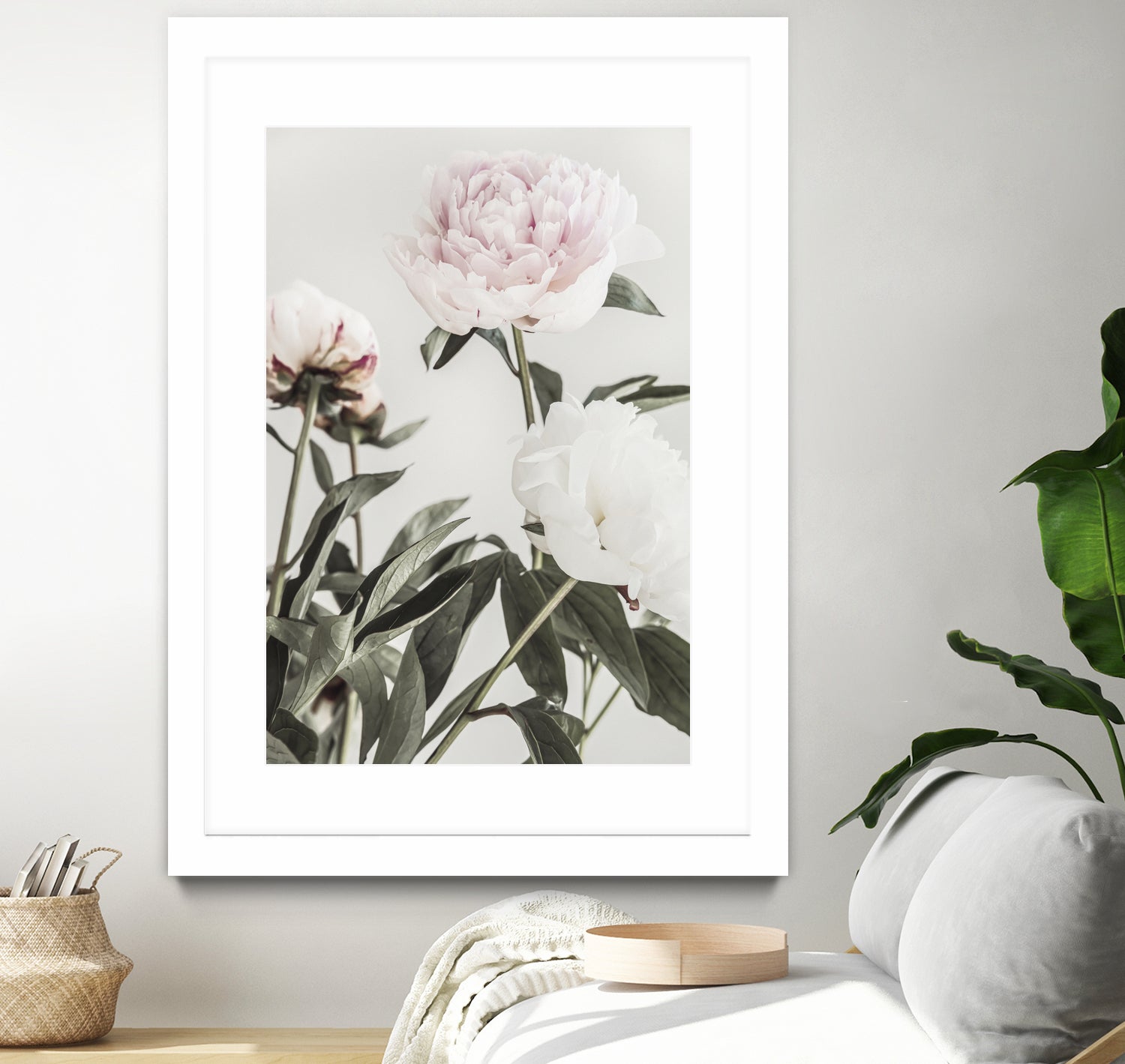 Peony 04