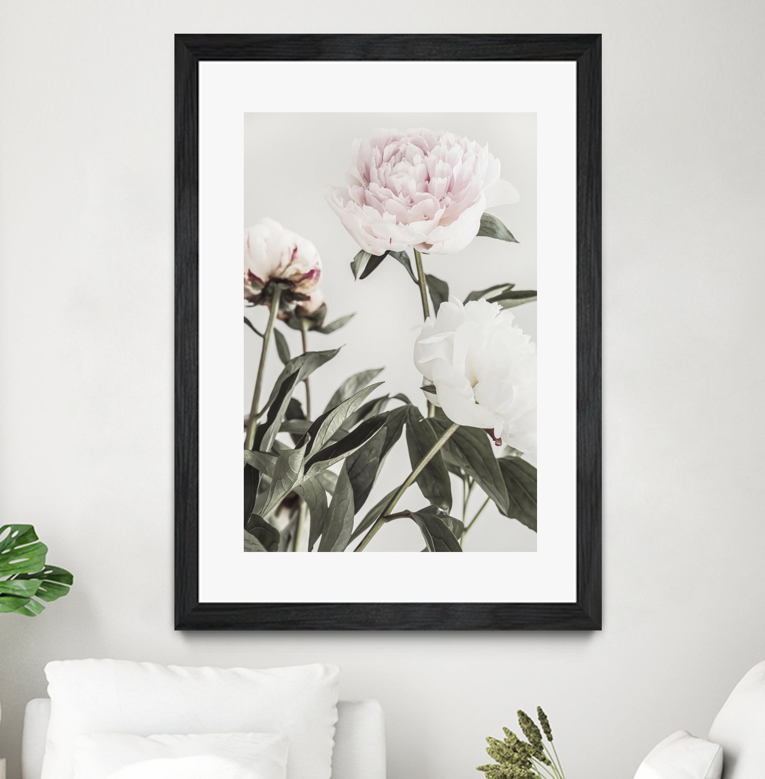 Peony 04