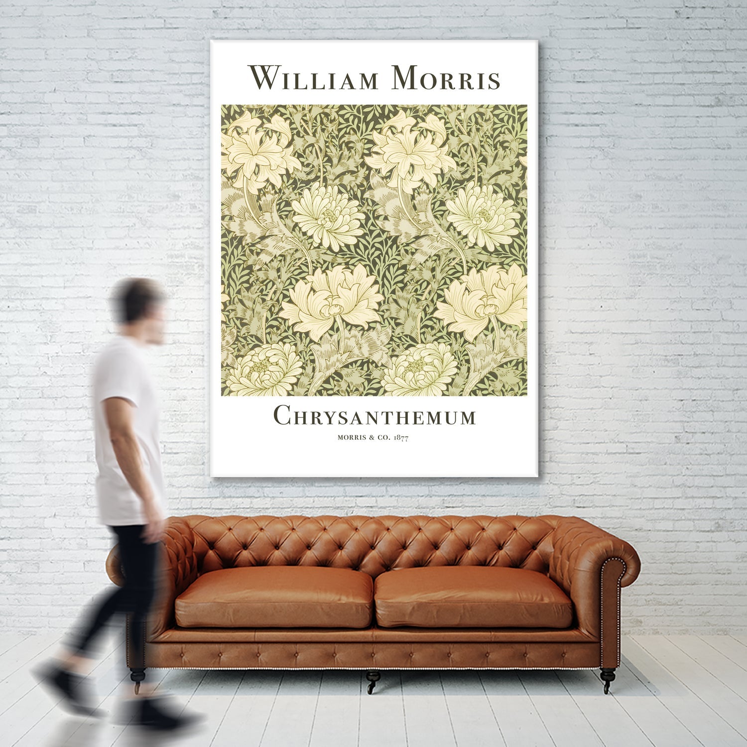 Chrysanthemum