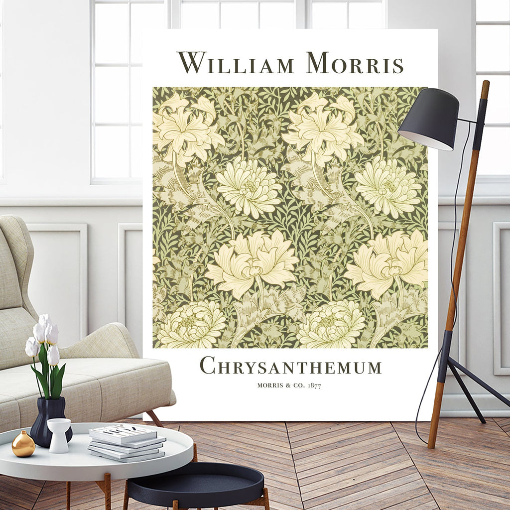 Chrysanthemum
