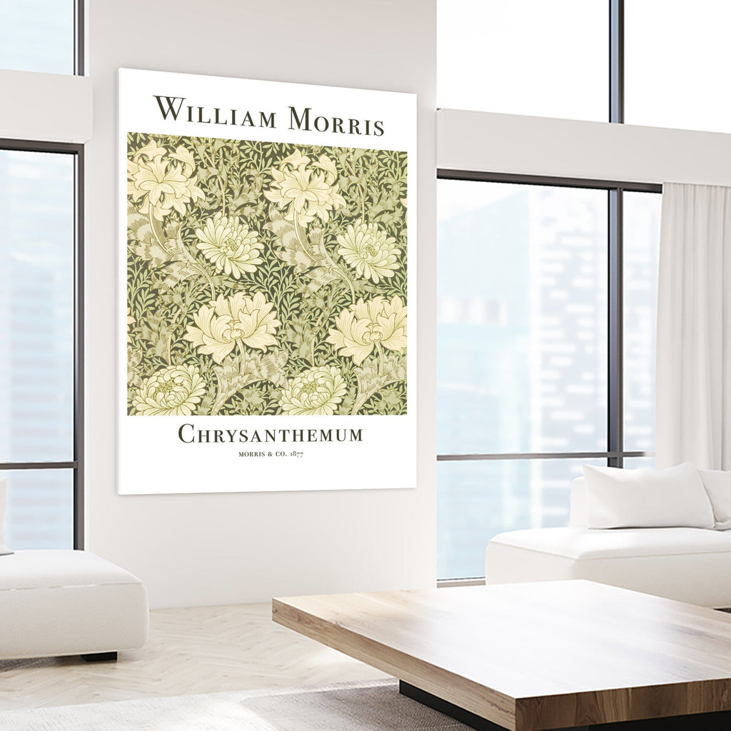 Chrysanthemum