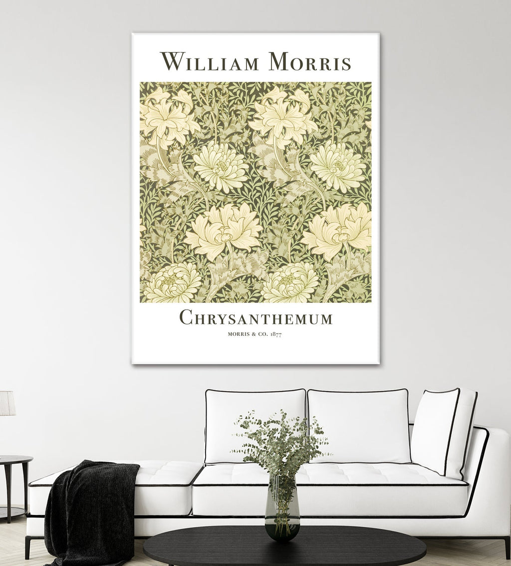 Chrysanthemum