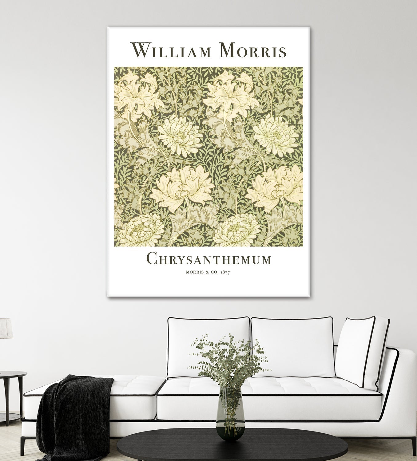 Chrysanthemum