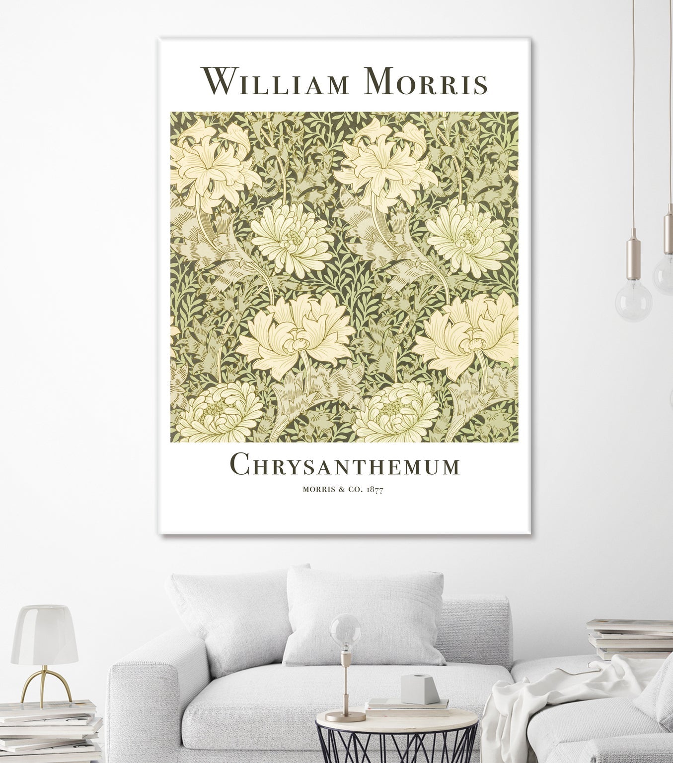 Chrysanthemum