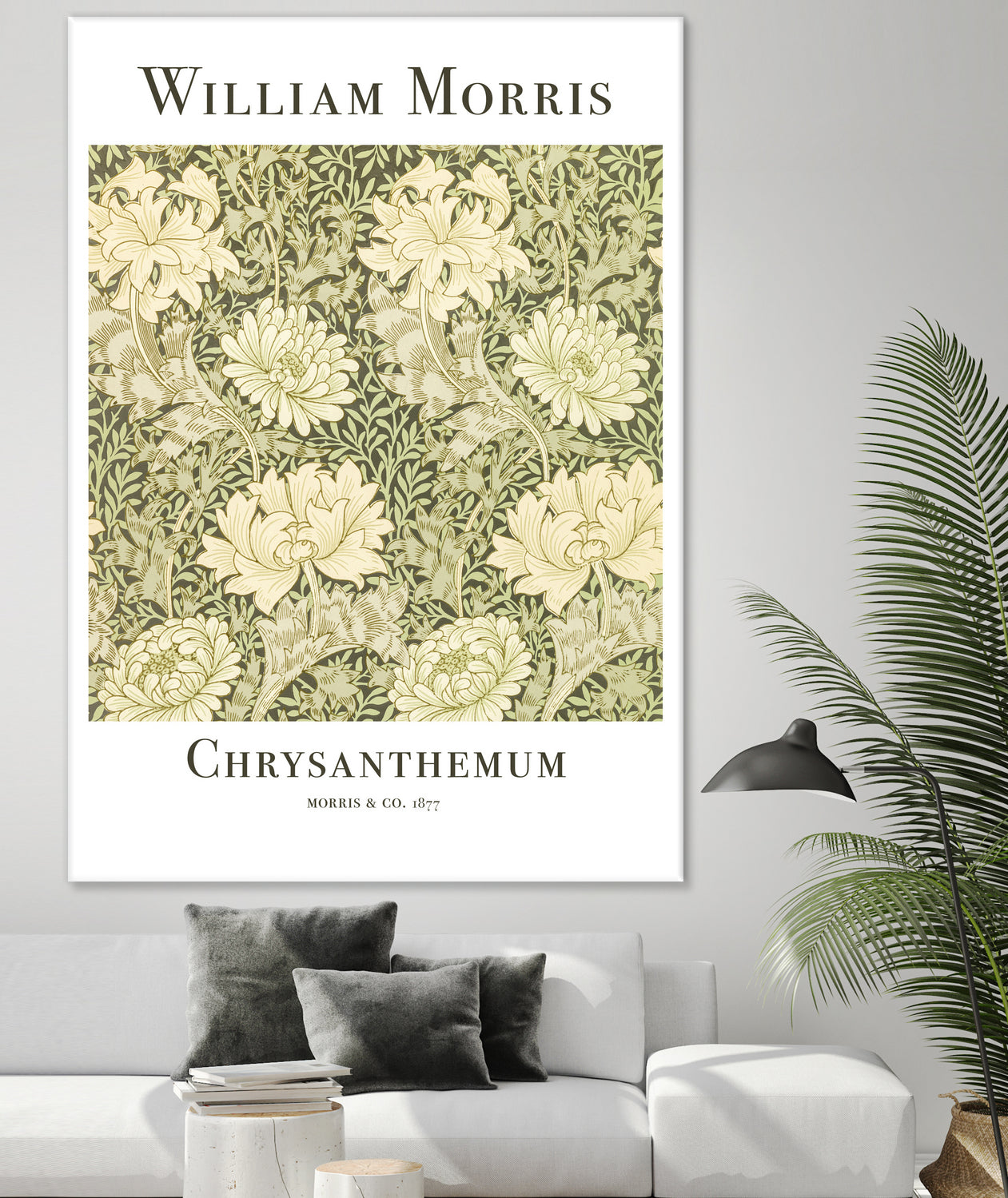 Chrysanthemum