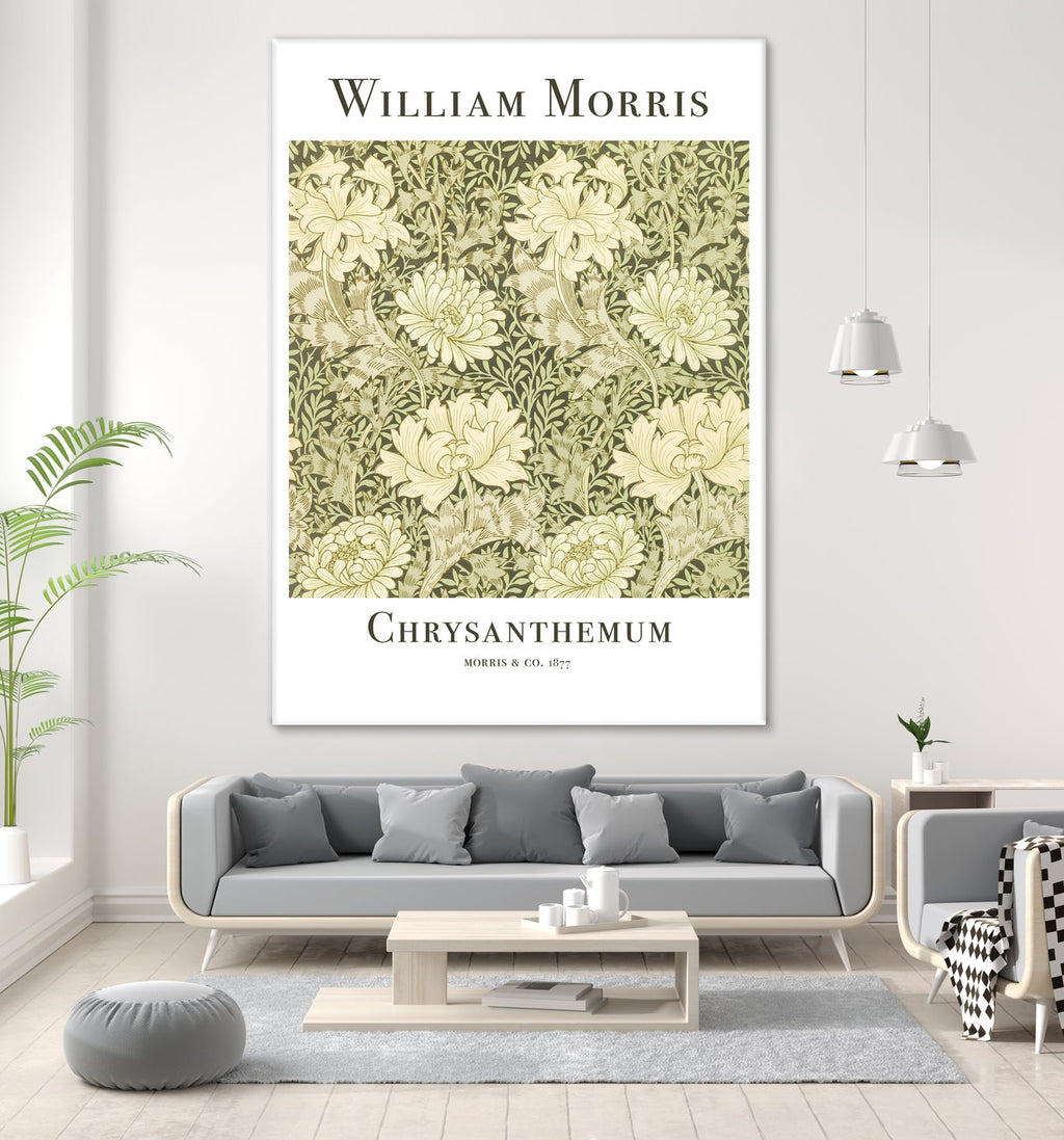 Chrysanthemum