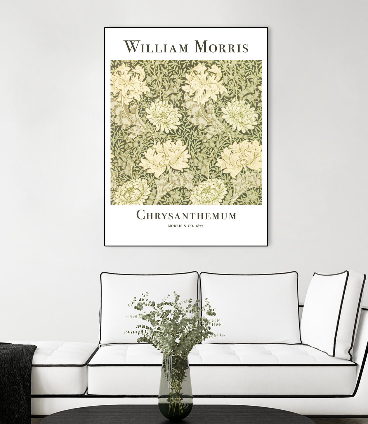 Chrysanthemum