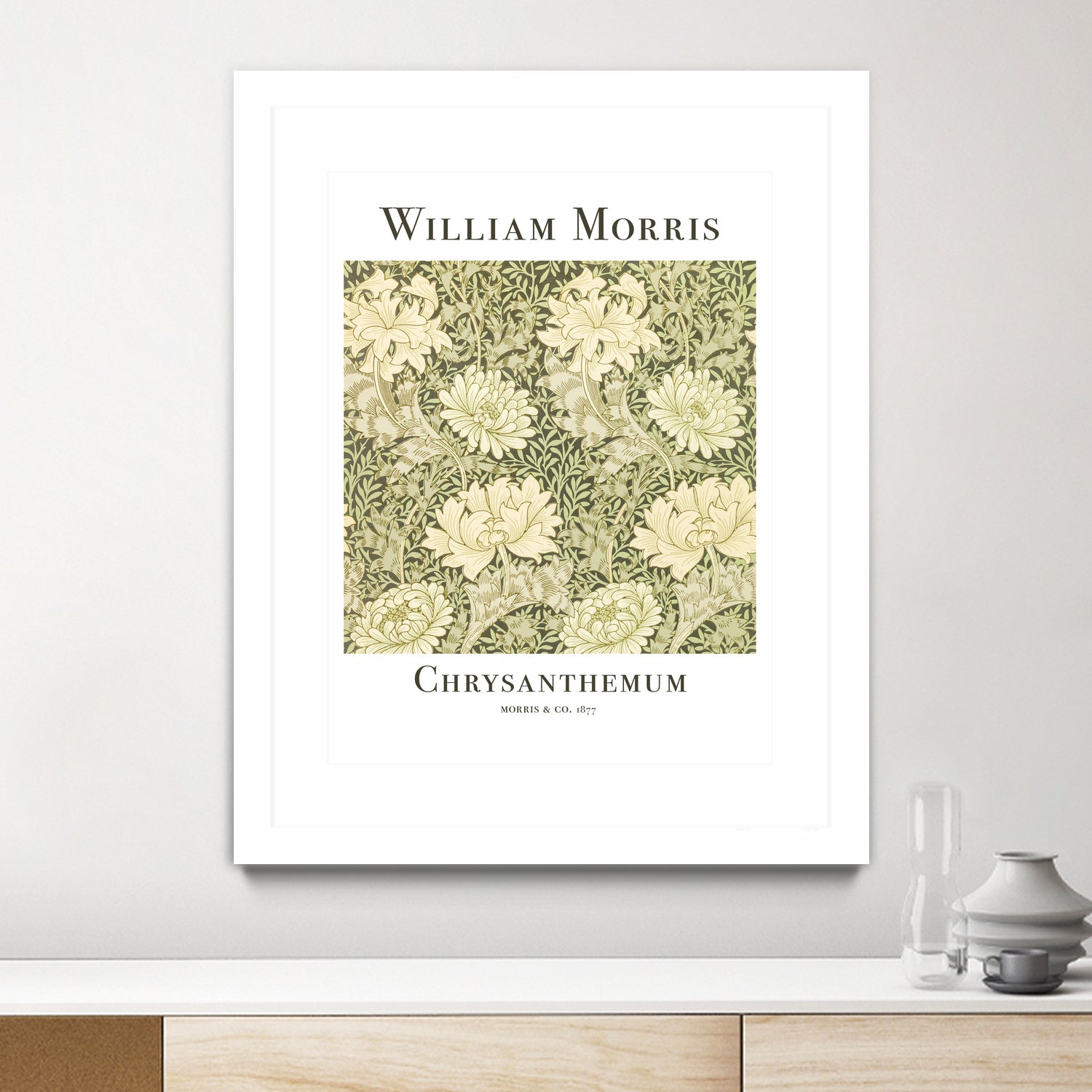 Chrysanthemum