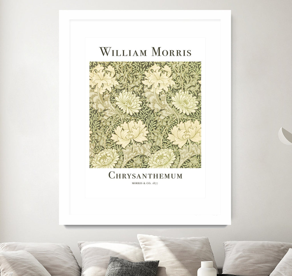 Chrysanthemum