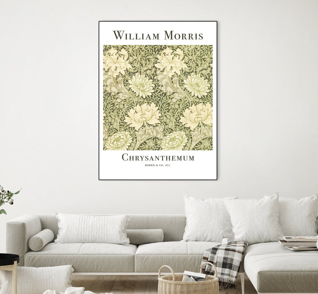 Chrysanthemum