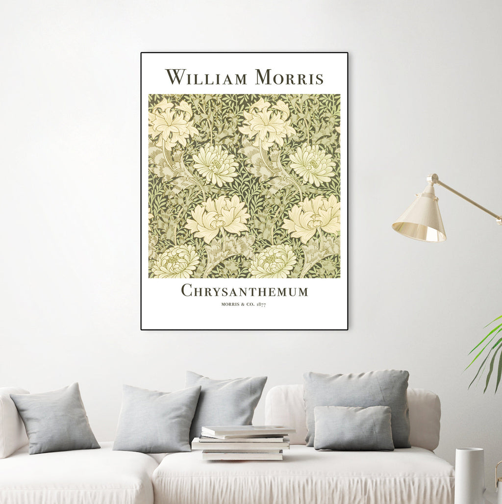 Chrysanthemum