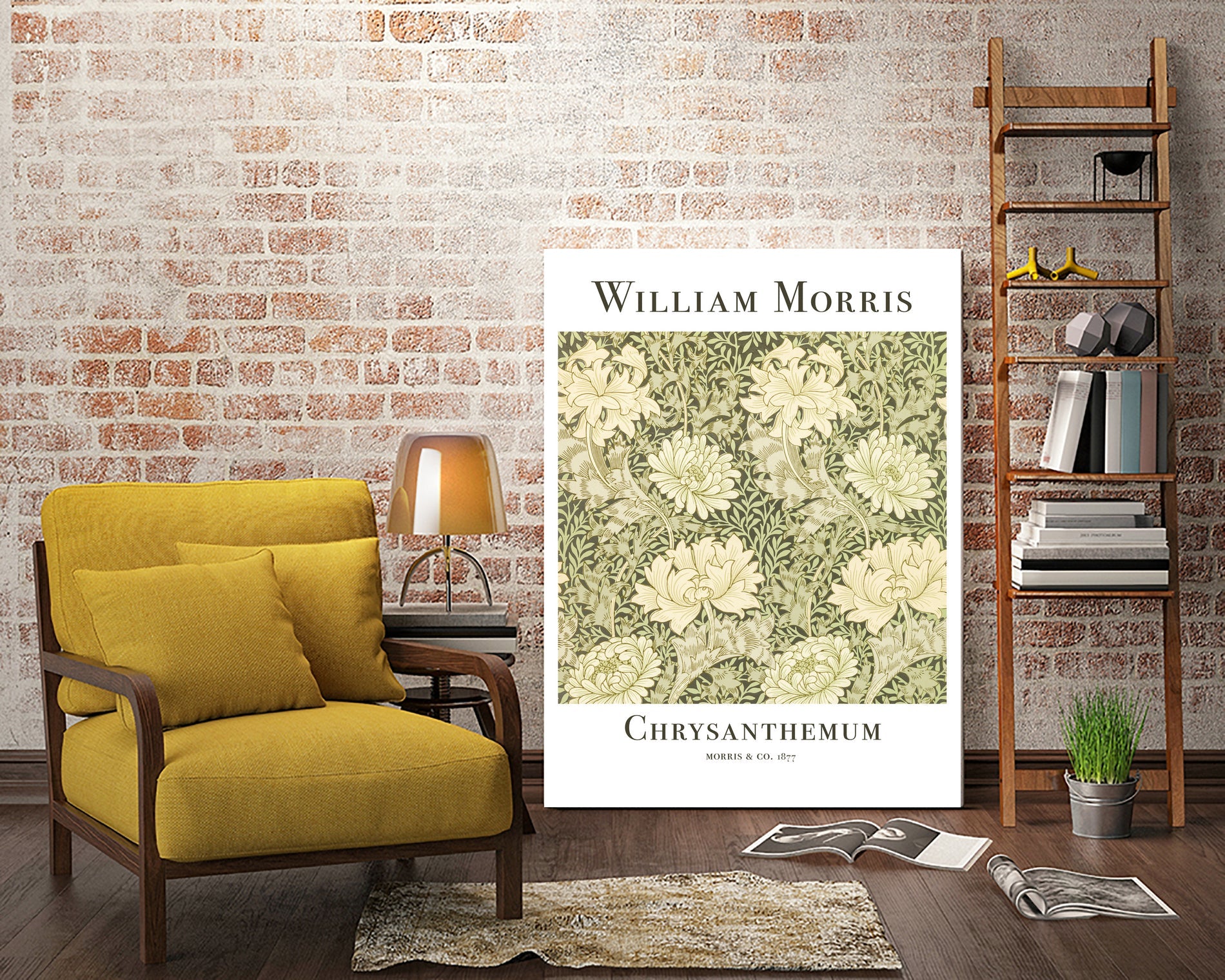 Chrysanthemum