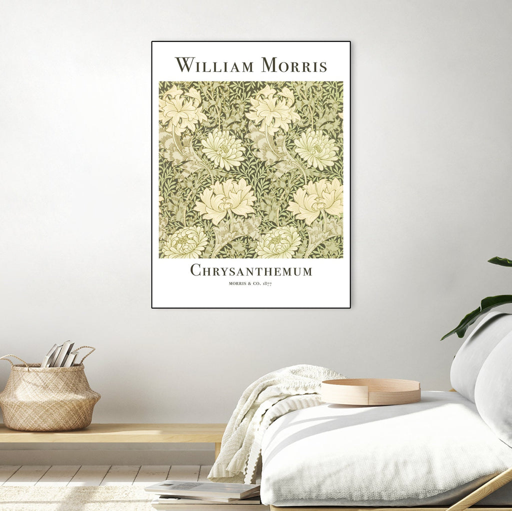 Chrysanthemum
