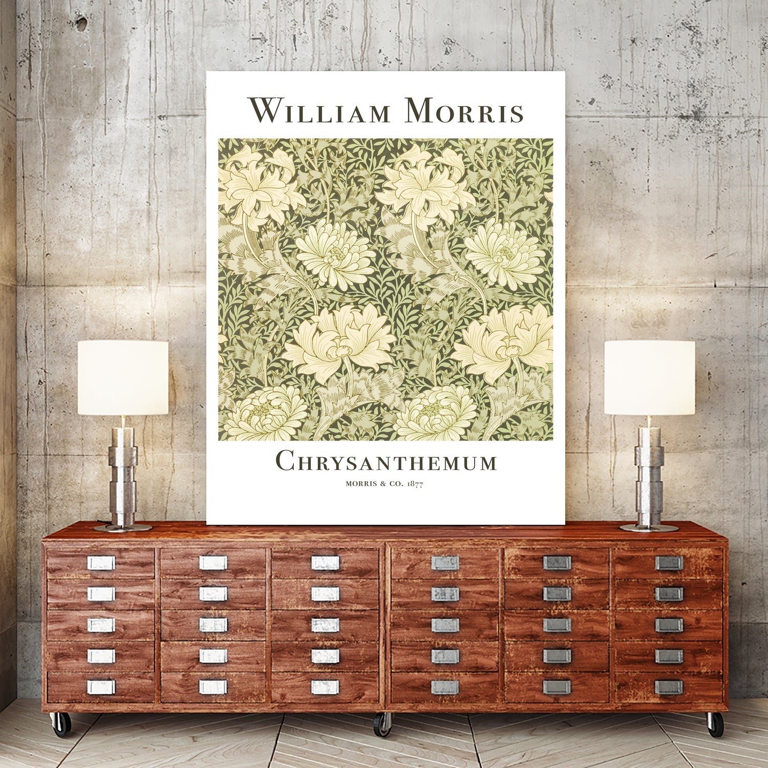 Chrysanthemum
