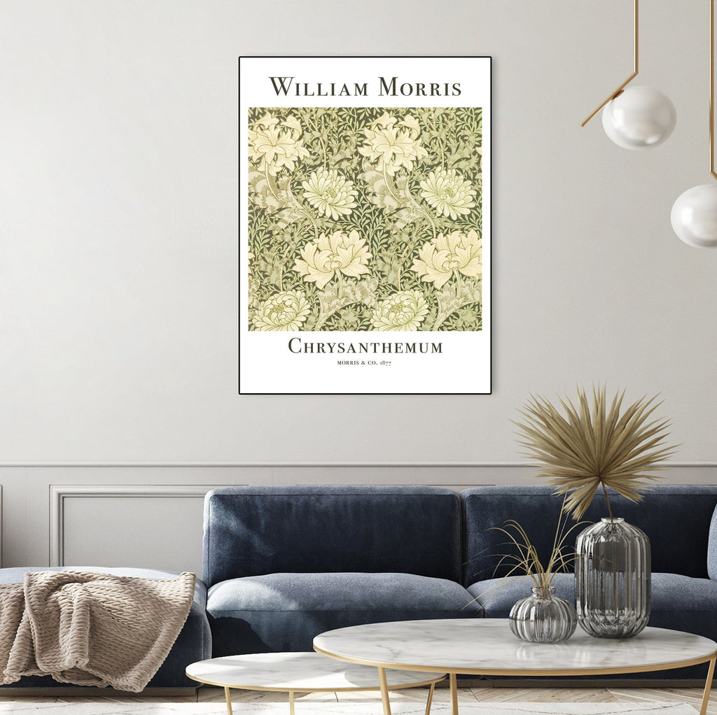 Chrysanthemum