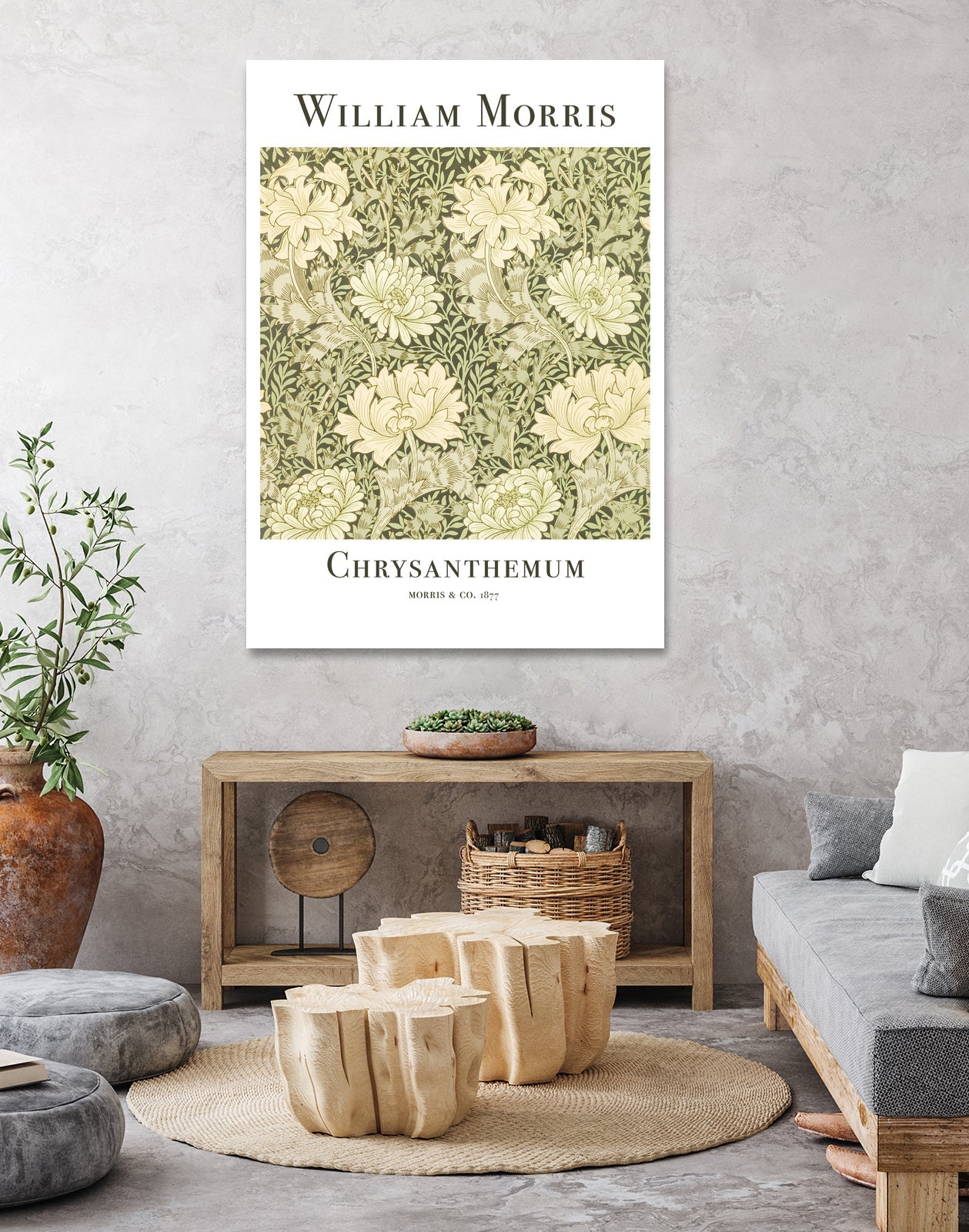 Chrysanthemum