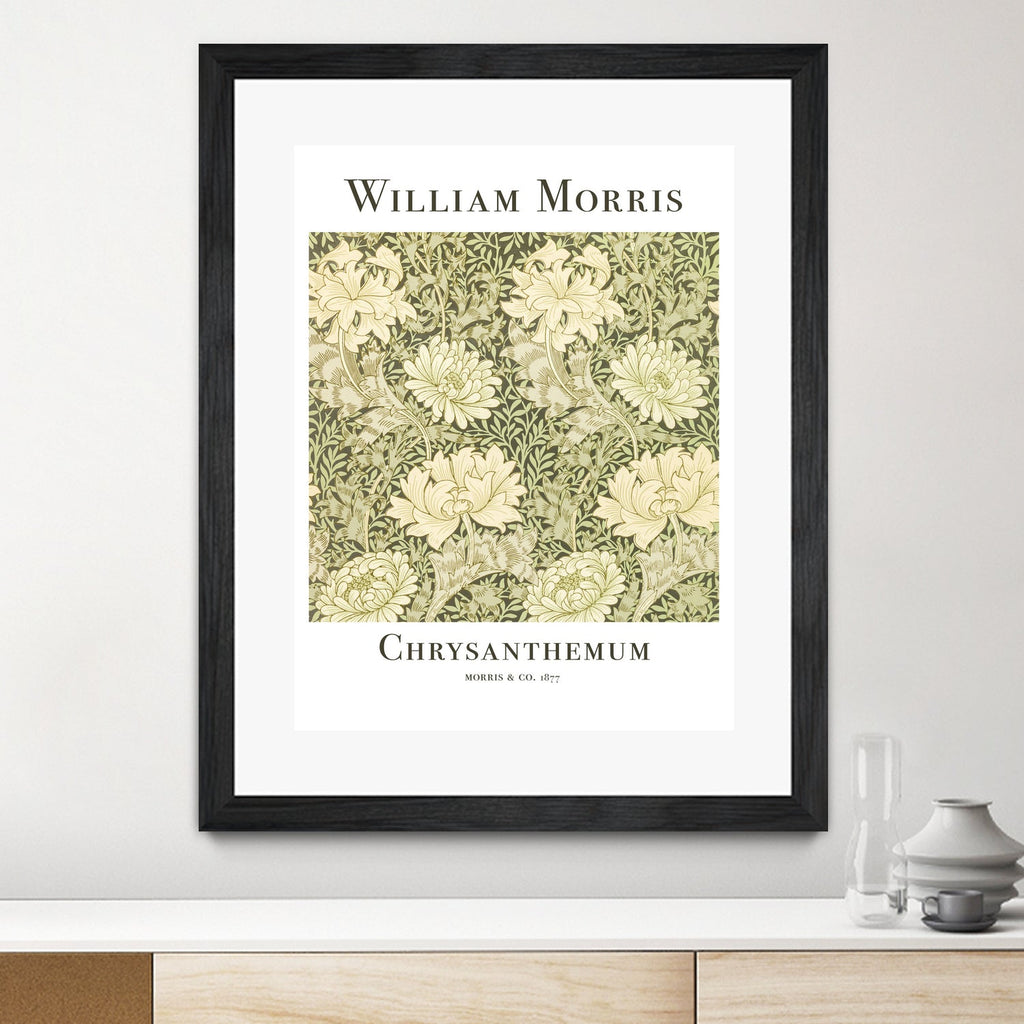 Chrysanthemum