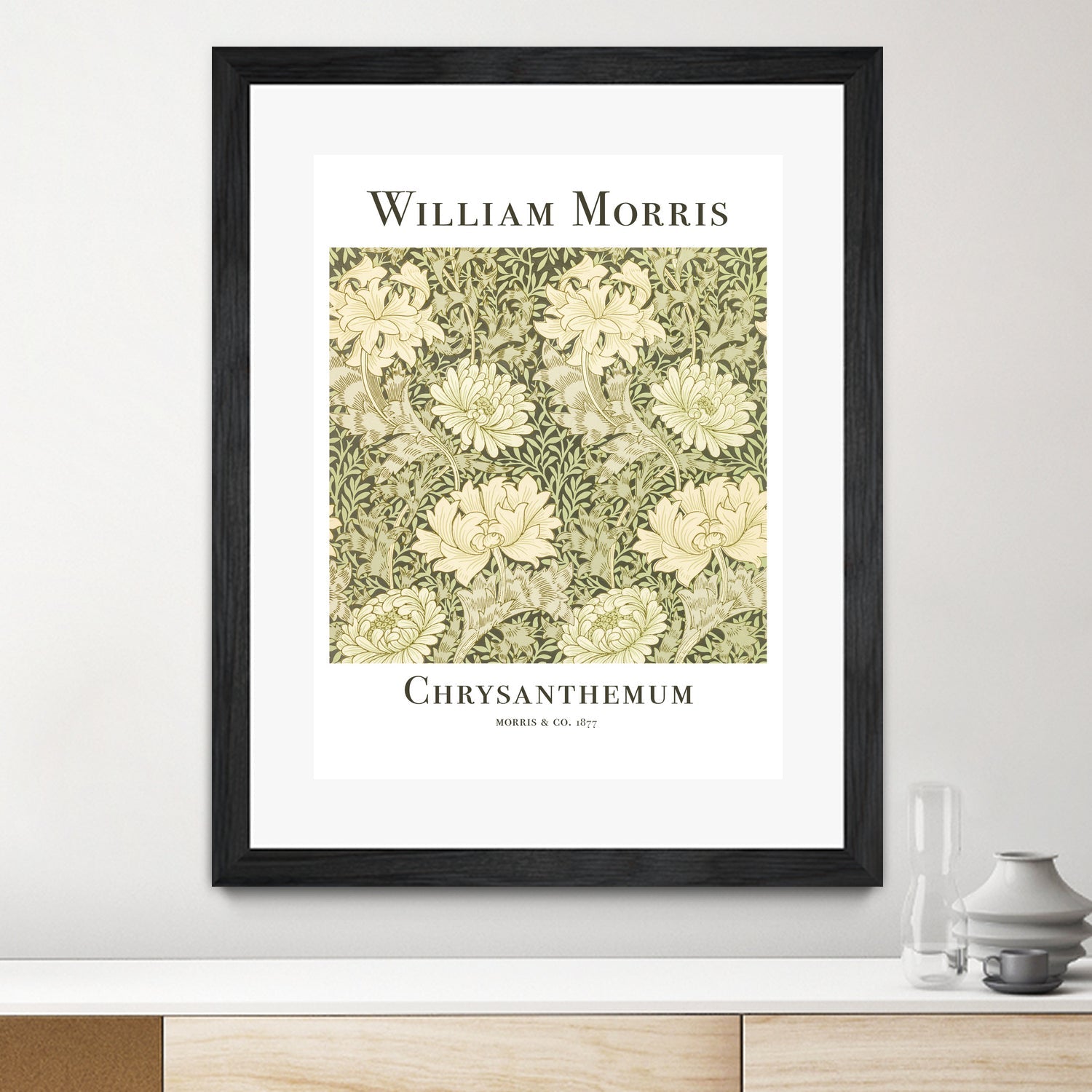 Chrysanthemum