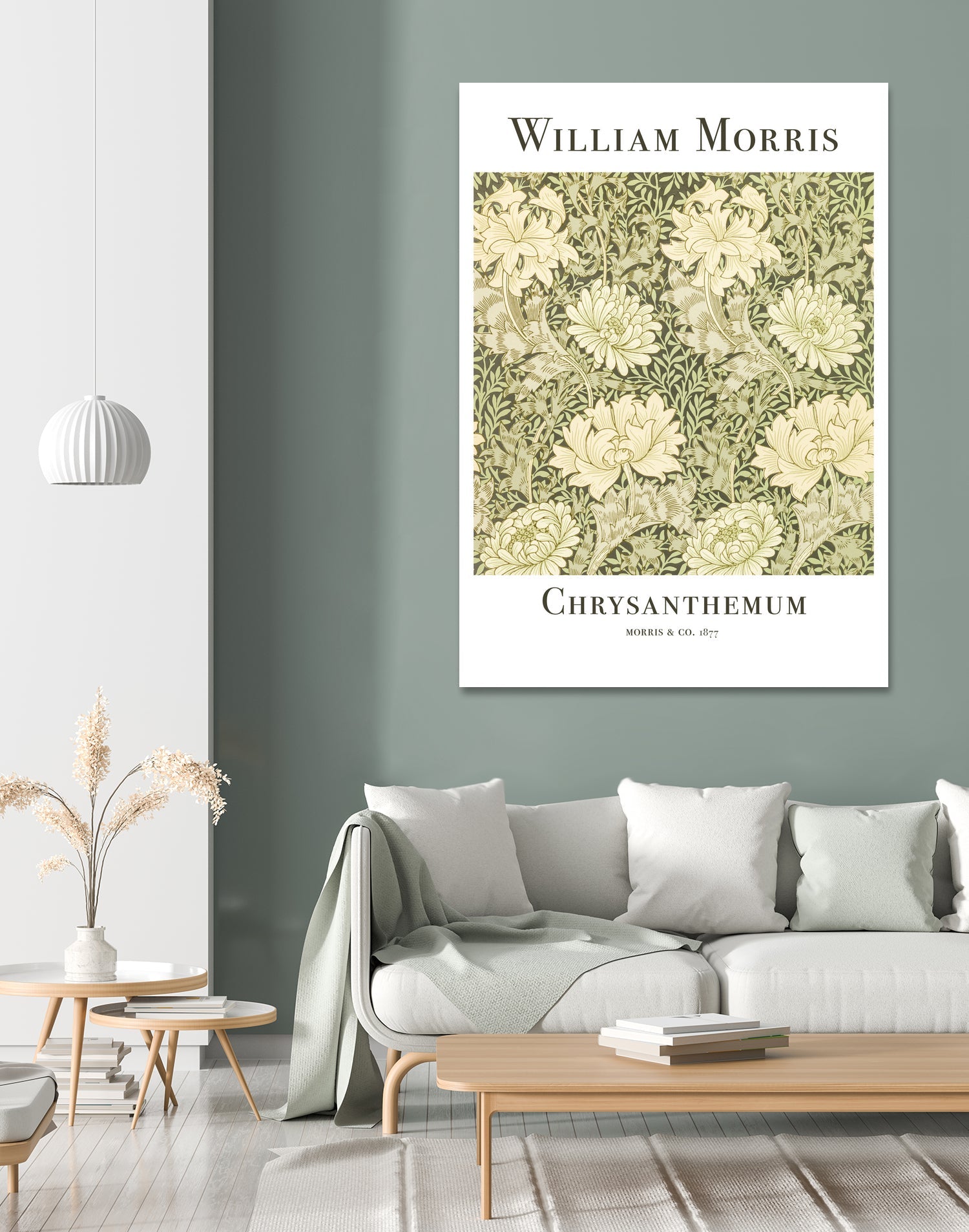 Chrysanthemum