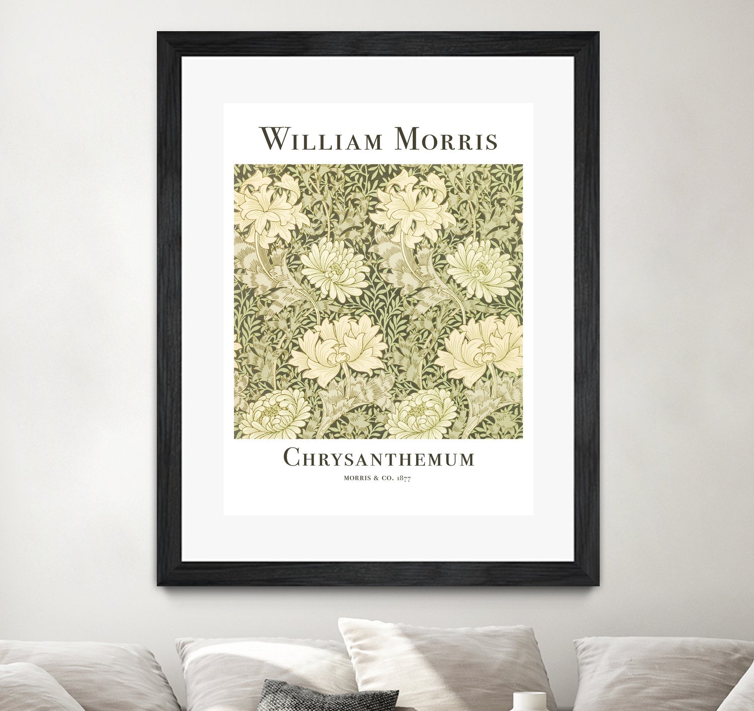 Chrysanthemum