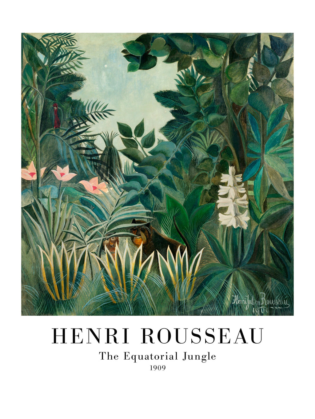The Equatorial Jungle