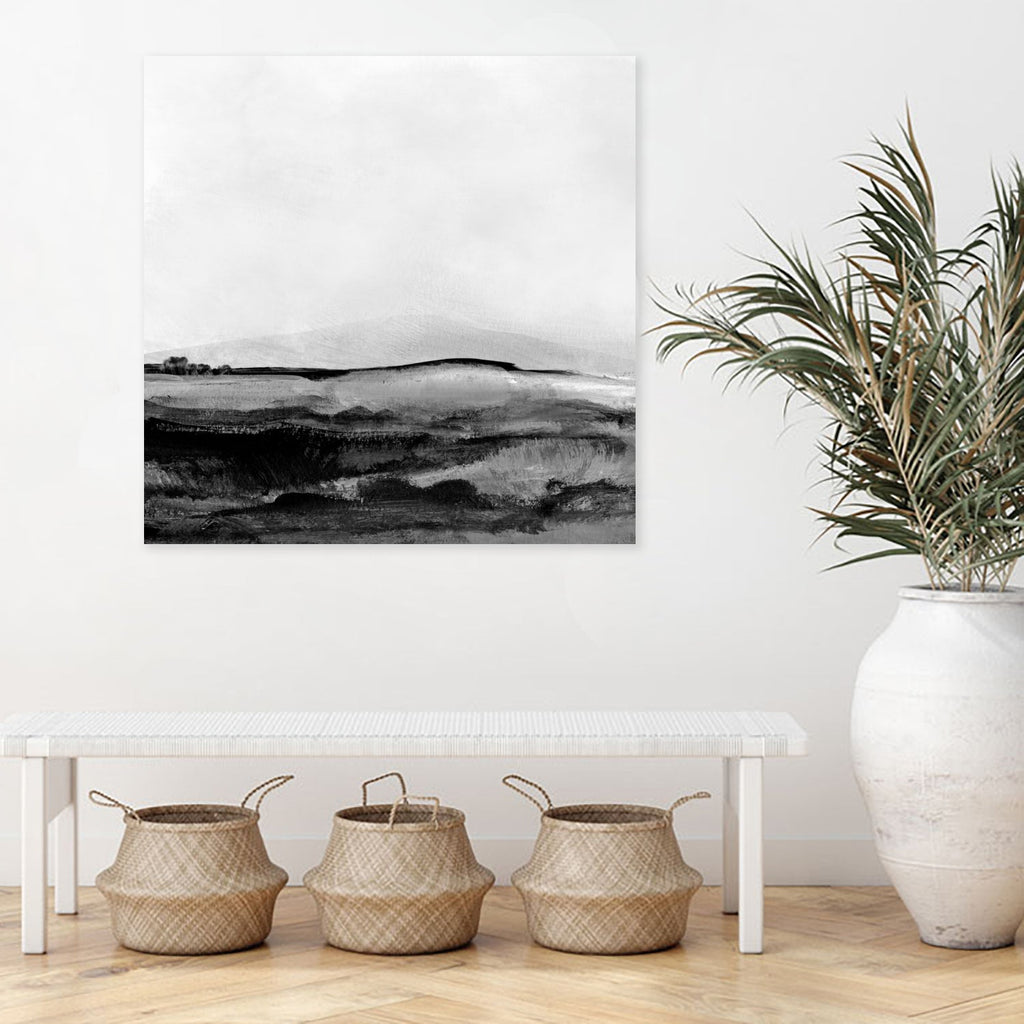 Mono Landscape No1