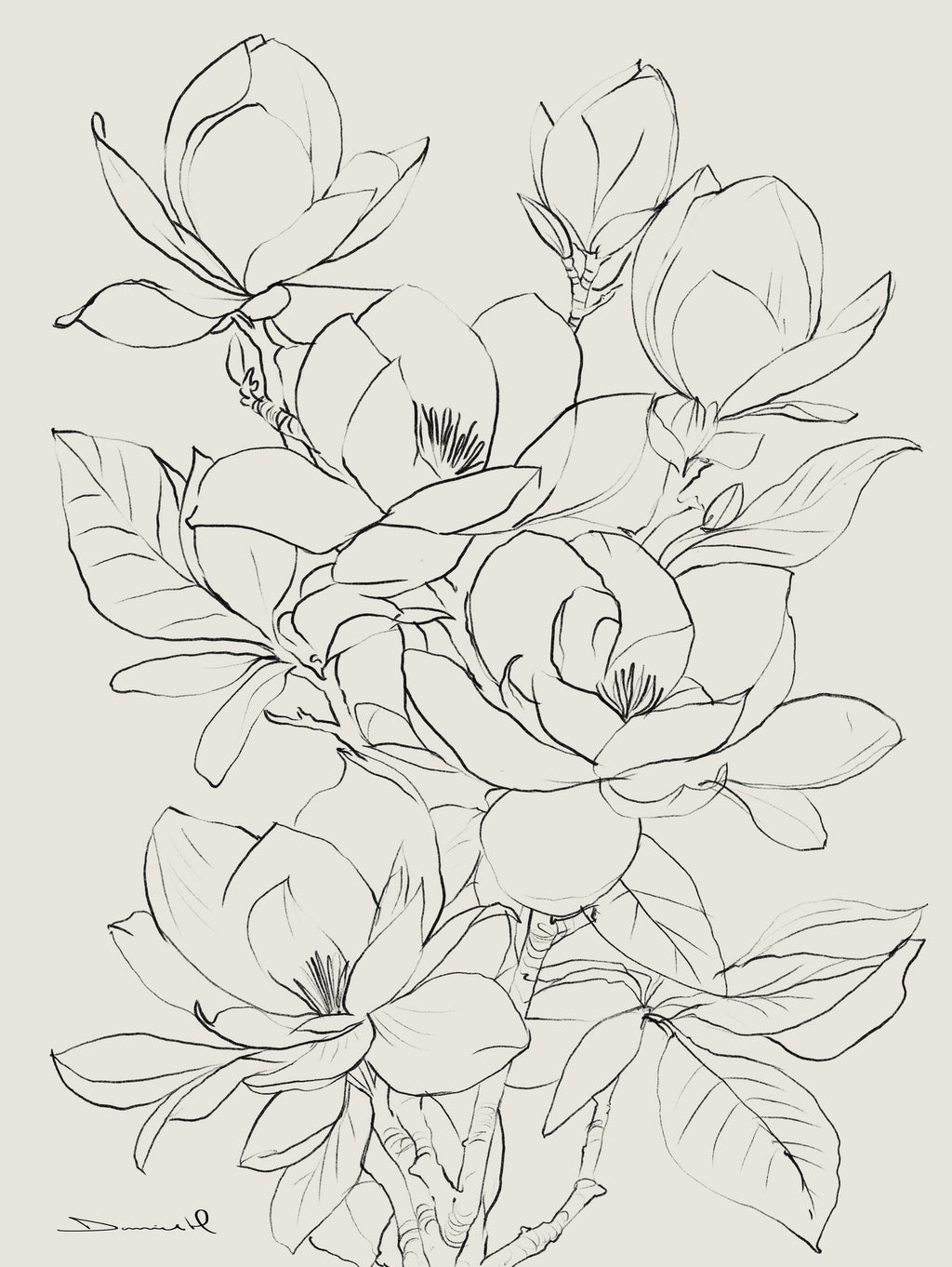 Magnolia Tree